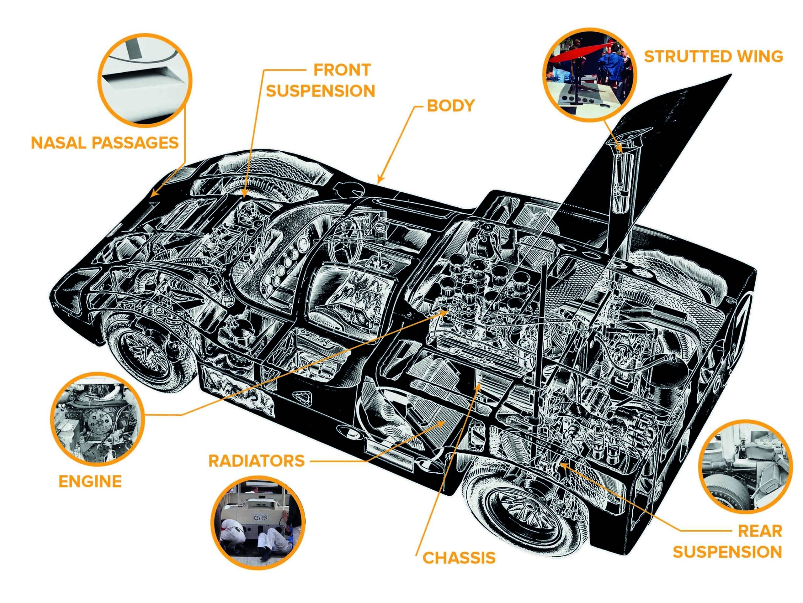 Chaparral 2F graphic