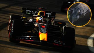 Lizards of Singapore GP: Could ‘Godzilla’s kid’ derail F1 title race?